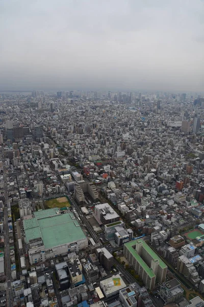 晴れた日の東京の街並みの東京スカイツリーからの航空写真 — ストック写真