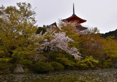 Zen xTemple Kiyomizu-dera tapınağı Japonya 'daki Kyoto Gölü kıyısındaki ağaçların arasında.