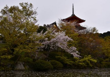 Zen xTemple Kiyomizu-dera tapınağı Japonya 'daki Kyoto Gölü kıyısındaki ağaçların arasında.