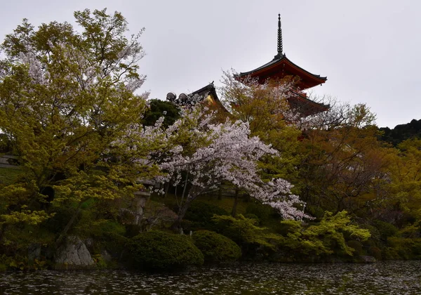 Zen Xtemple Kiyomizu Dera Rozciągacz Wśród Drzew Brzegu Jeziora Kioto — Zdjęcie stockowe