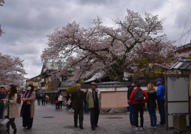 Japonya 'nın Kyoto Gion semtinde sokakta yürüyen insanlar 