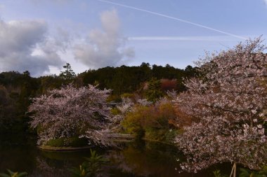 Higashiyama District Maruyama Park pitoresk görünümü , Kyoto, Japonya 