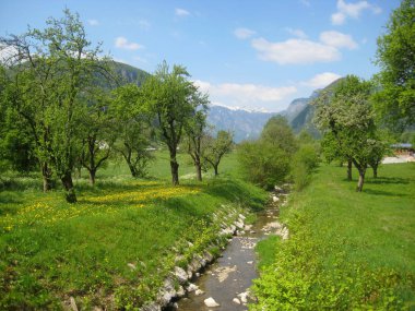 Yazın güneşli bir günde park arasında dere akar.