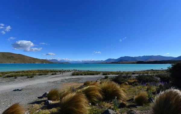 Pittoresca Vista Della Valle Del Fiume Senza Fine Nella Giornata — Foto Stock