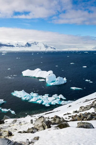 icecaps in the Antarctica with iceberg in the ocean swimming around and melting in the sea