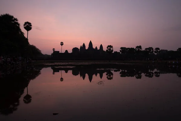 An old temple in cambodia full of plans and trees over grown