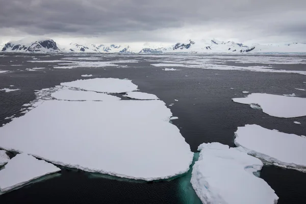 icecaps in the Antarctica with iceberg in the ocean swimming around and melting in the sea