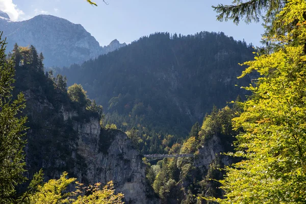 a pic from the alps with mountains rivers trees as landscape