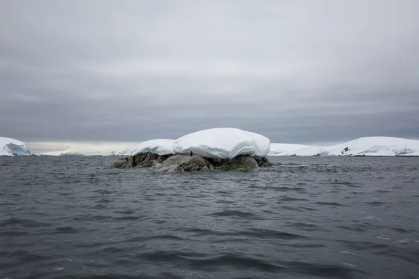 icecaps in the Antarctica with iceberg in the ocean swimming around and melting in the sea