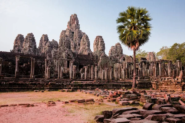 An old temple in cambodia full of plans and trees over grown