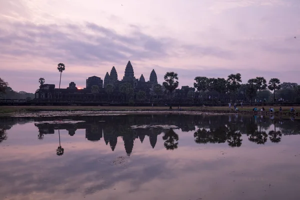 An old temple in cambodia full of plans and trees over grown