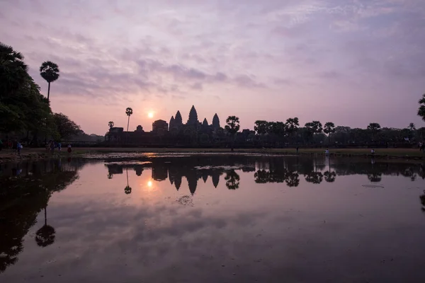 An old temple in cambodia full of plans and trees over grown