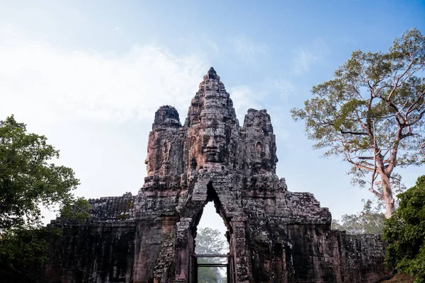 An old temple in cambodia full of plans and trees over grown