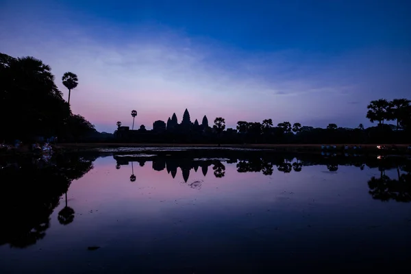 An old temple in cambodia full of plans and trees over grown