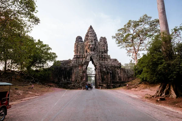 An old temple in cambodia full of plans and trees over grown