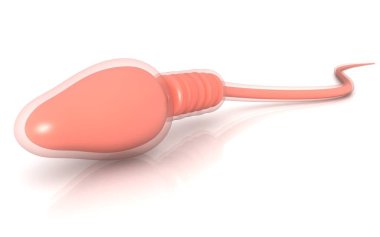 Beyaz arkaplanda üç boyutlu sperm çizimi