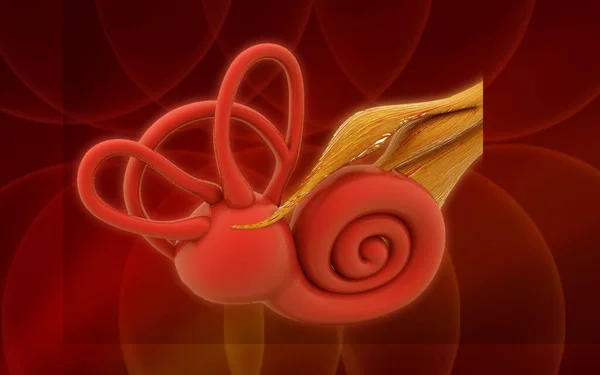 Ilustração Orelha Interna Cochlea Fundo Colorido — Fotografia de Stock