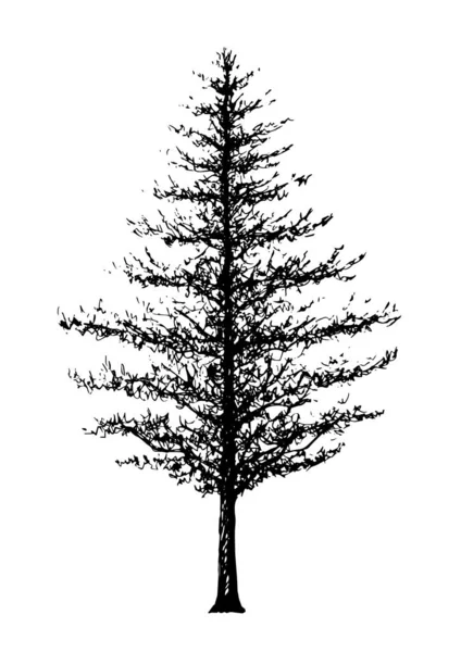 Árbol bosque mano dibujo boceto vector ilustración diseño — Archivo Imágenes Vectoriales