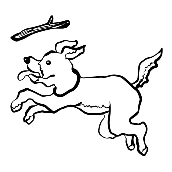 Perro jugar captura frisbee rama vector ilustración mano dibujo — Vector de stock