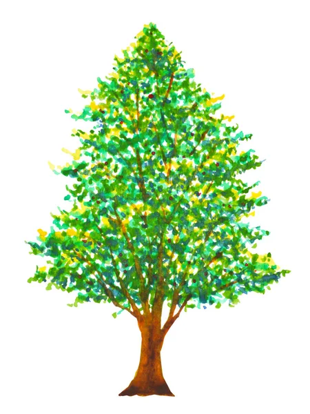 Πεύκο δέντρο Χριστούγεννα υδατογραφική ζωγραφική εικονογράφηση χέρι σχέδιο — Φωτογραφία Αρχείου
