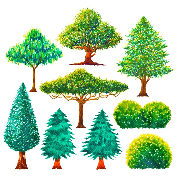 Conjunto de árboles verdes acuarela pintura dibujo a mano ilustración diseño —  Fotos de Stock