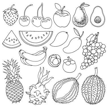 soğuk hava ve tropikal meyve tatlı lezzetli vektör illüstrasyon tasarım sanat el çizim seti