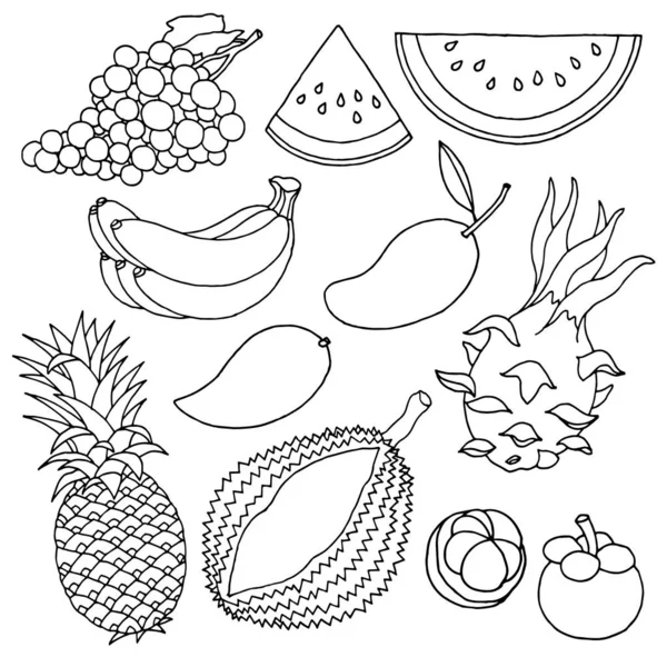 Tropikal meyve tatlı lezzetli vektör illüstrasyon tasarım sanat el çizim seti — Stok Vektör