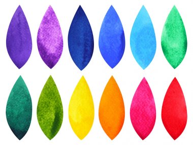 suluboya fırça kontur boyama renk seti illüstrasyon tasarım el çizimi