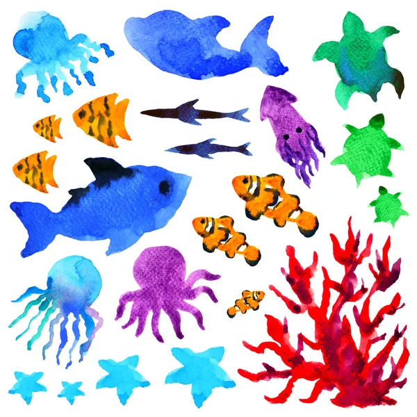 set animal fish underwater watercolor painting illustration design hand drawing