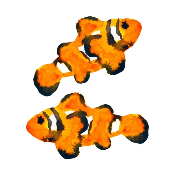 橙色小丑鱼游泳在海洋水彩画插图设计手绘 — 图库照片