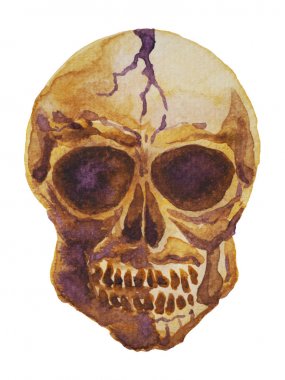 İnsan Kafatası İskelet Suluboya Boyama