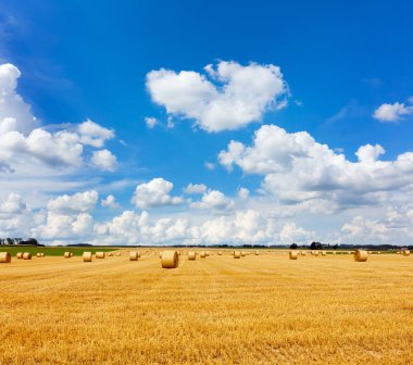 Sarı altın saman balya saman anız alanında, bulutlar ile mavi gökyüzü altında tarım alanı