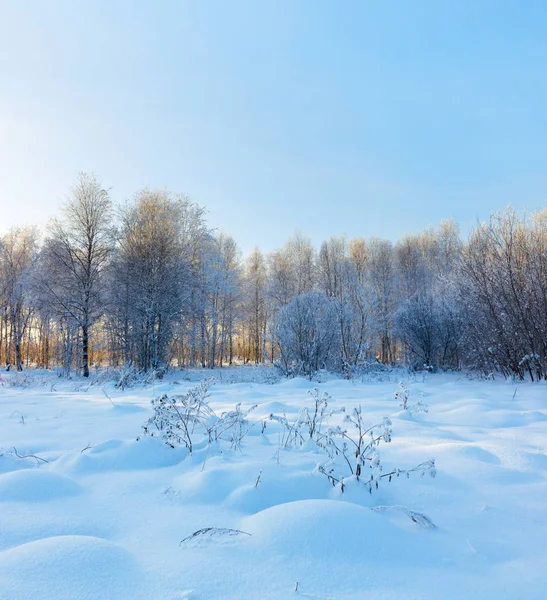 Winter landscape. Cold day.