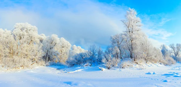 Winter landscape. Cold day.