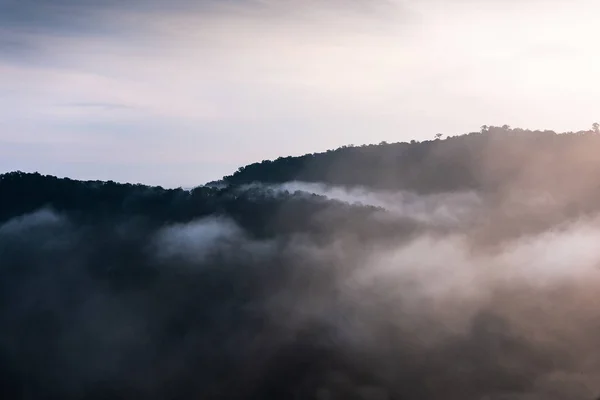 Foggy mountains Khao Yai National Park