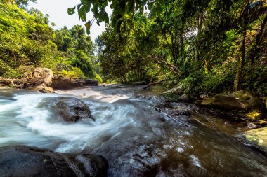 Şelale Doi Inthanon Chiang Mai Tayland at