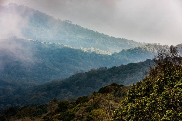 泰国高山雨林 — 图库照片