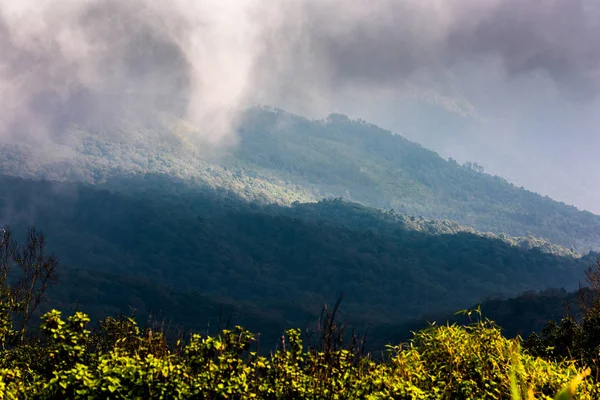 Alta Montanha Floresta Tropical Tailândia — Fotografia de Stock