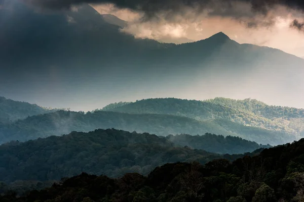 Yüksek Dağ Rainforest Tayland — Stok fotoğraf