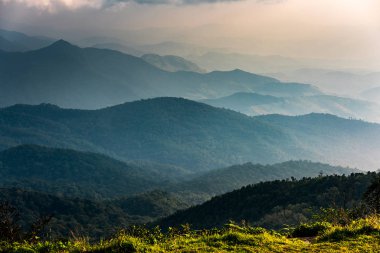 Yüksek dağ rainforest Tayland