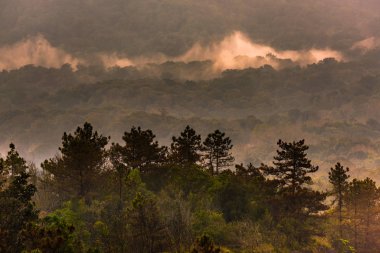 Bakış açıları Doi Inthanon Chiang Mai Tayland Sun rise