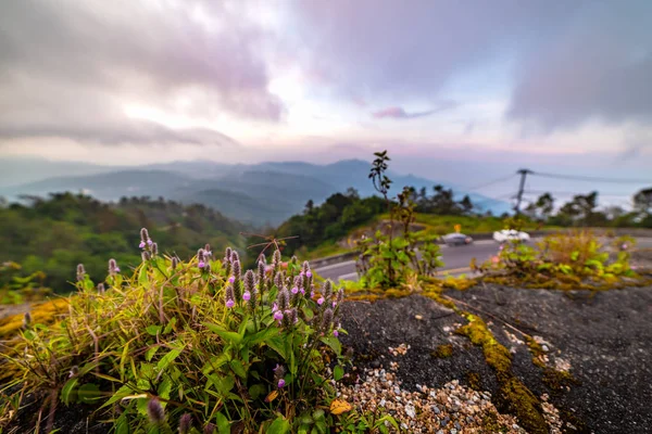 Viewpoints Sun Rise Doi Inthanon Chiang Mai Thailand — Stock Photo, Image