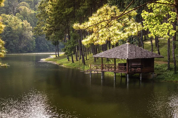 Accommodation Royal Projects Pang Ung Mae Hong Son Thailan — Stock Photo, Image