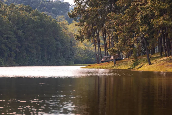 Королевские Проекты Pang Ung Mae Hong Son Таиланд — стоковое фото