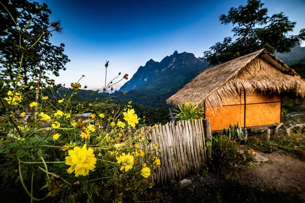 Landschaft Bei Doi Luang Chiang Dao Hoher Berg Der Provinz — Stockfoto