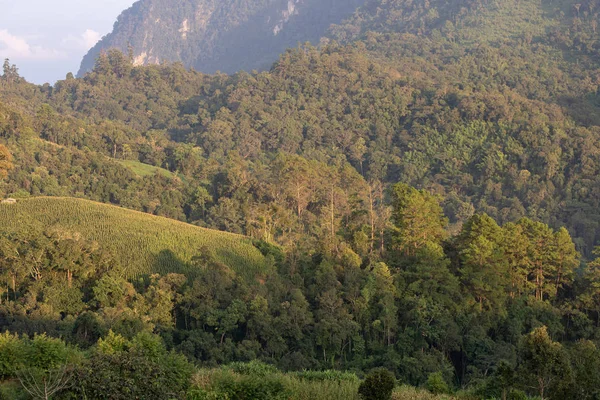 泰国清迈省高山道良清道景观 — 图库照片