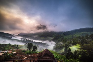 Çok güzel bir sabah tarafından alçak bulutlar kaplı orman Panoraması. Colo