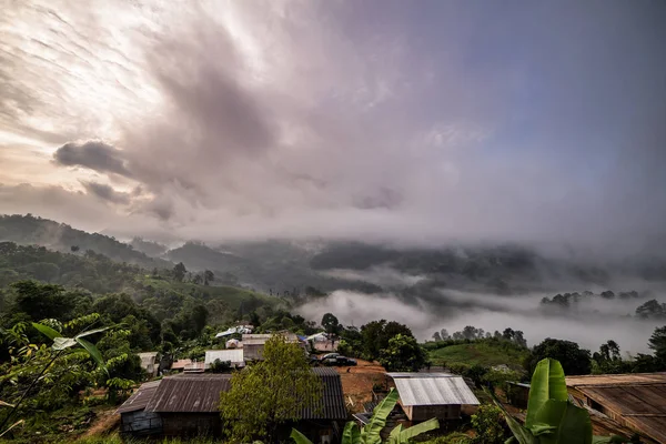 Belo panorama matinal da floresta coberta por nuvens baixas. Colo. — Fotografia de Stock