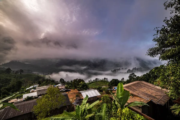 Bellissimo panorama mattutino di bosco coperto da basse nuvole. Colo — Foto Stock