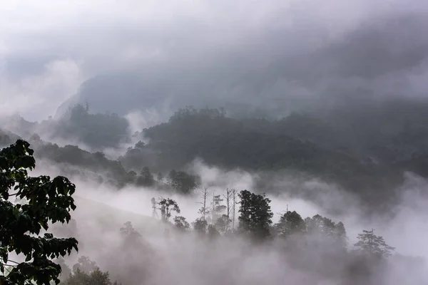 Névoa Pesada Magnífica Paisagem Colina Aumentada Partir Nevoeiro — Fotografia de Stock